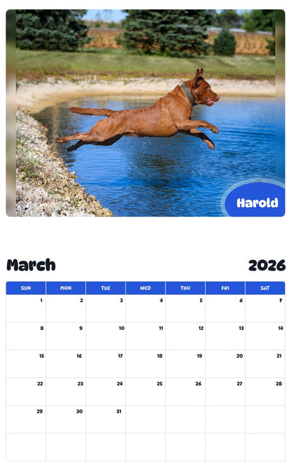 November 2025 - October 2026 Harold - Pawidols Pet Calendar