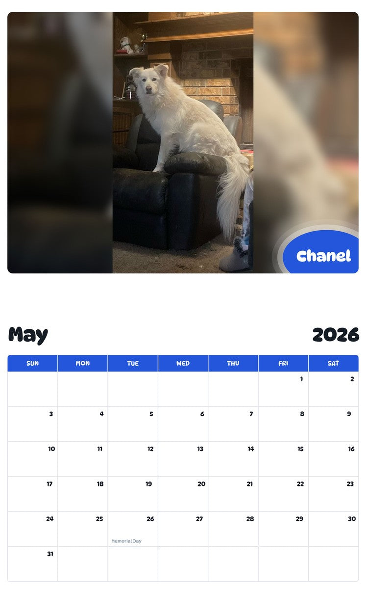 2026 - 2027 Chanel - Pawidols Pet Calendar