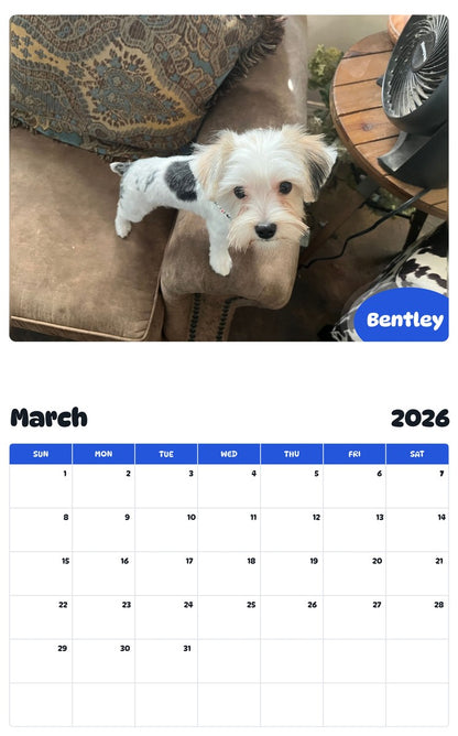 November 2025 - October 2026 Bentley - Pawidols Pet Calendar