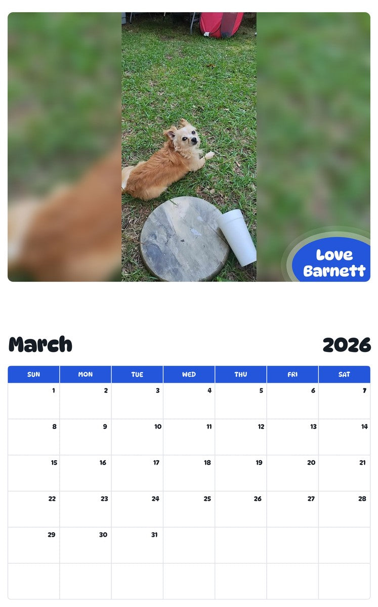 November 2025 - October 2026 Love Barnett - Pawidols Pet Calendar