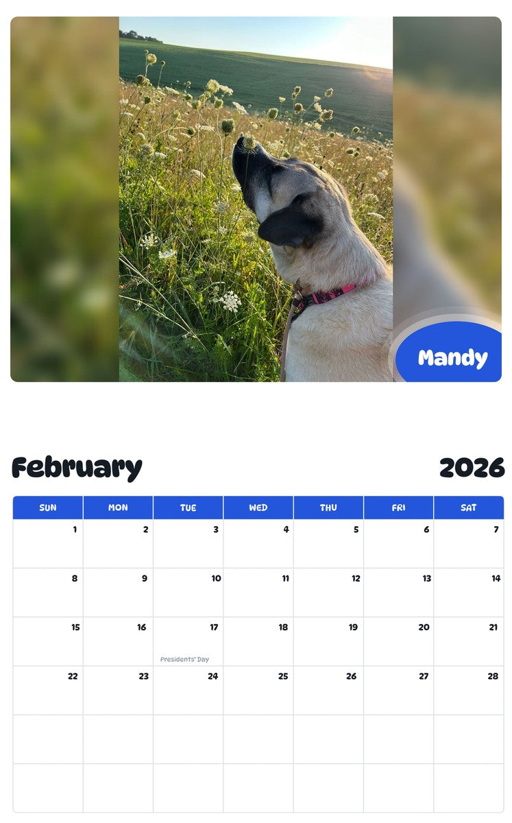 October 2025 - September 2026 Mandy - Pawidols Pet Calendar