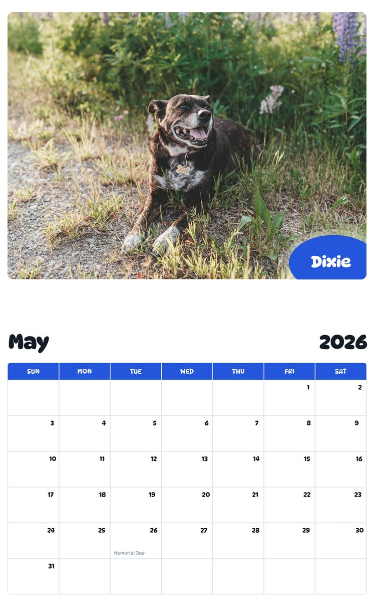 2026 - 2027 Dixie - Pawidols Pet Calendar