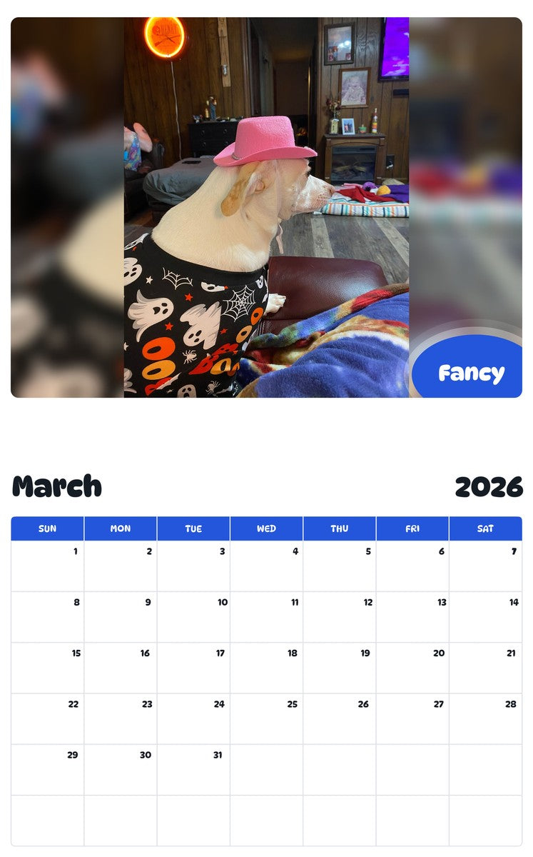 November 2025 - October 2026 Fancy - Pawidols Pet Calendar