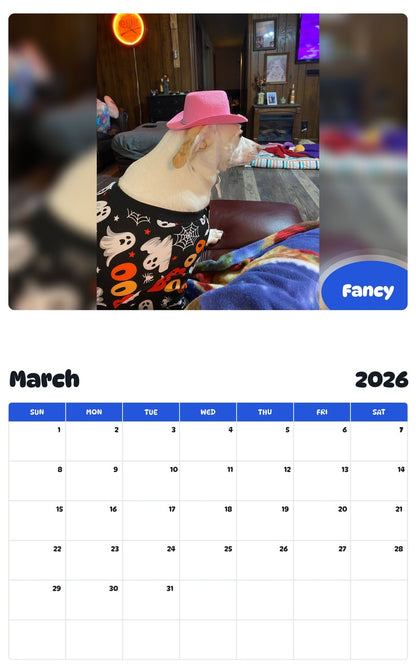 November 2025 - October 2026 Fancy - Pawidols Pet Calendar