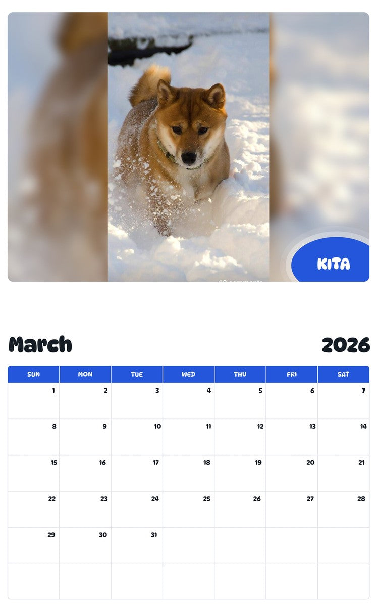 November 2025 - October 2026 KITA - Pawidols Pet Calendar