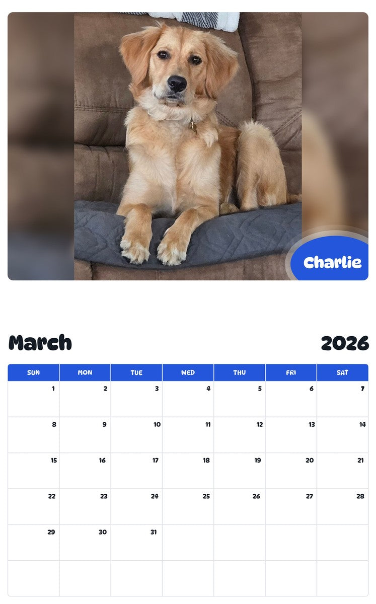 November 2025 - October 2026 Charlie - Pawidols Pet Calendar