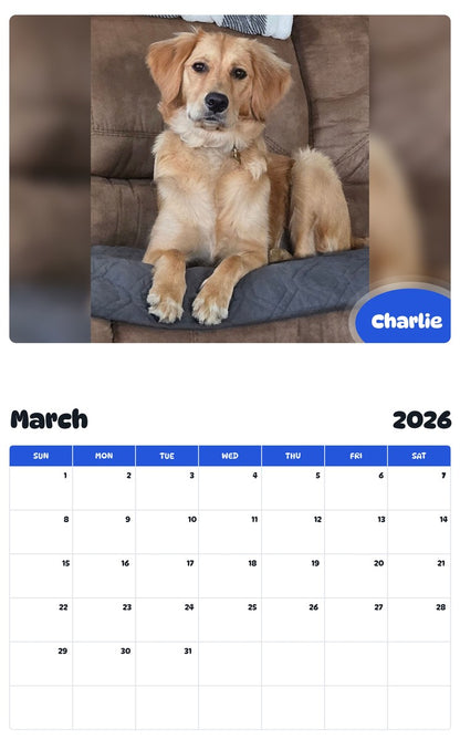 November 2025 - October 2026 Charlie - Pawidols Pet Calendar