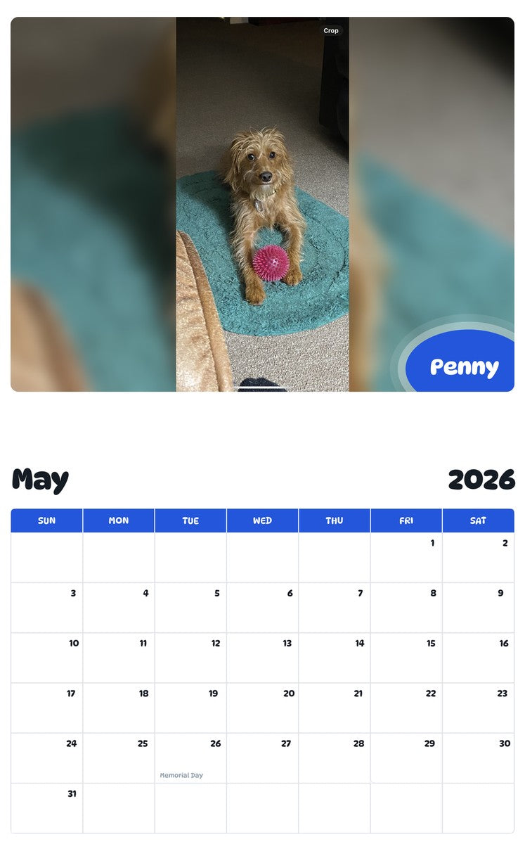 2026 - 2027 Penny - Pawidols Pet Calendar