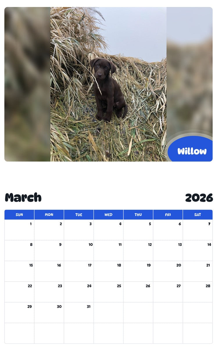 November 2025 - October 2026 Willow - Pawidols Pet Calendar