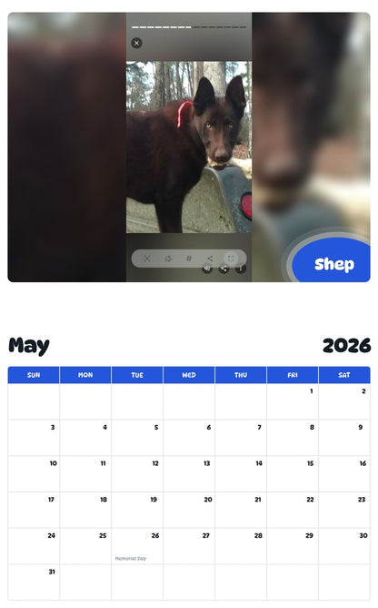 2026 - 2027 Shep - Pawidols Pet Calendar