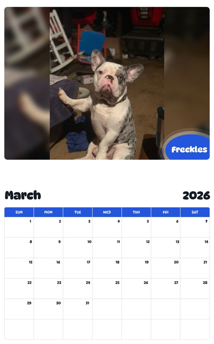 November 2025 - October 2026 Freckles - Pawidols Pet Calendar
