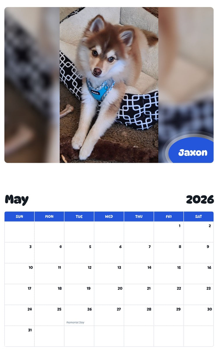 2026 - 2027 Jaxon - Pawidols Pet Calendar