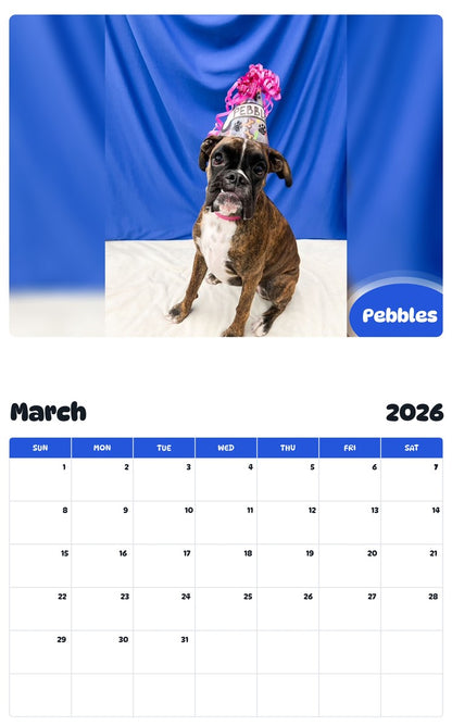 November 2025 - October 2026 Pebbles - Pawidols Pet Calendar