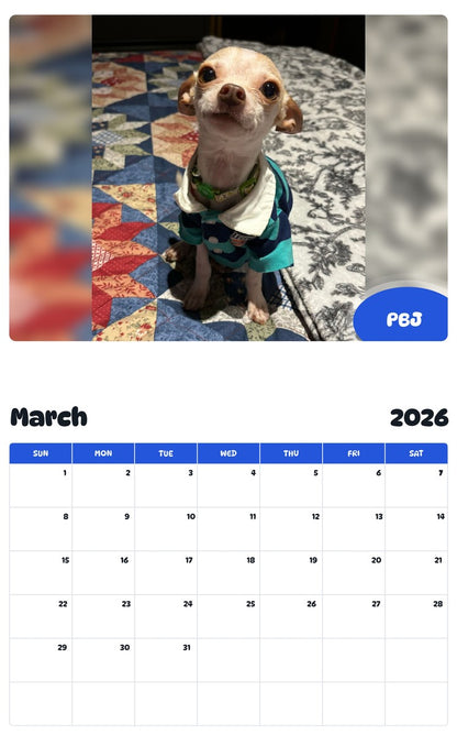 November 2025 - October 2026 PBJ - Pawidols Pet Calendar