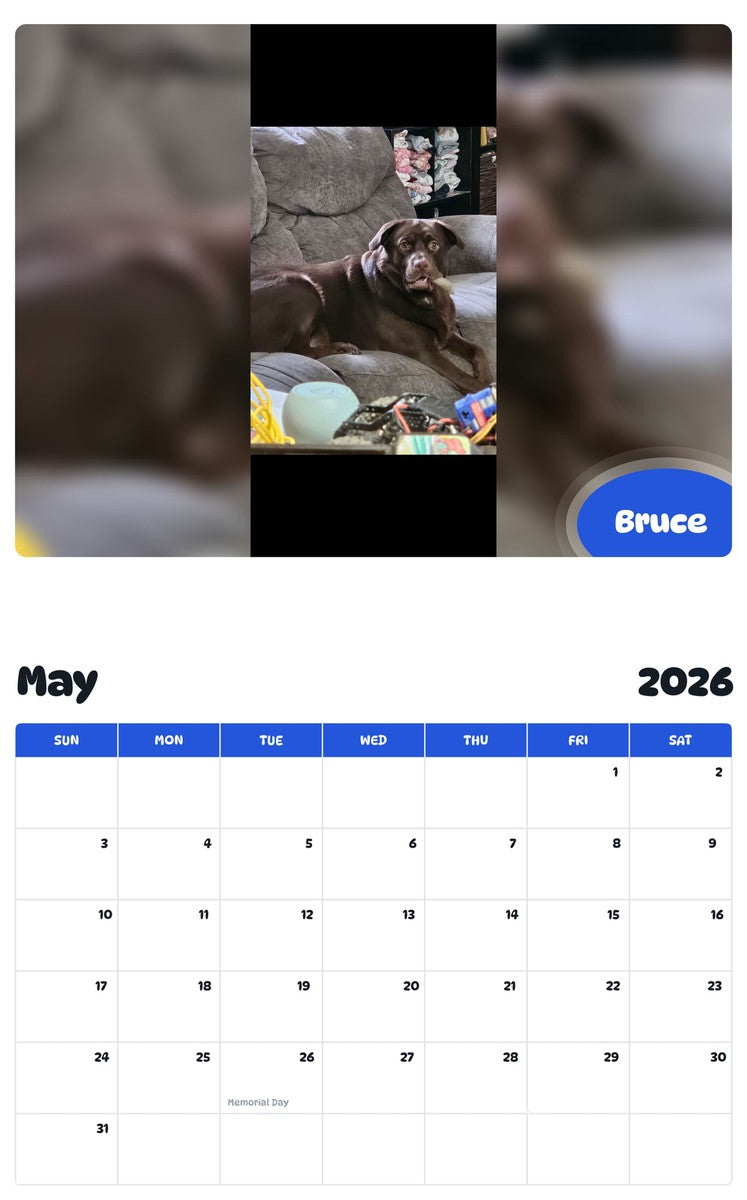 2026 - 2027 Bruce - Pawidols Pet Calendar