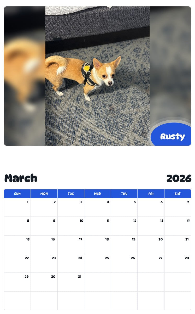 November 2025 - October 2026 Rusty - Pawidols Pet Calendar