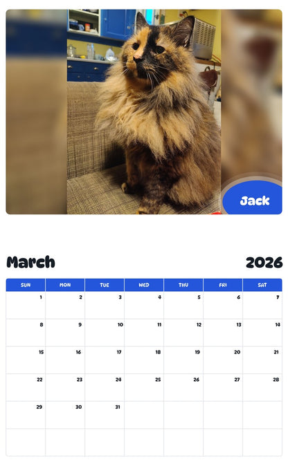 November 2025 - October 2026 Jack - Pawidols Pet Calendar
