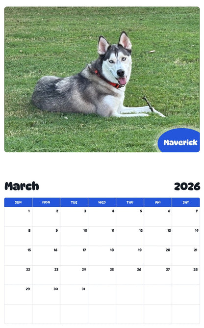 November 2025 - October 2026 Maverick - Pawidols Pet Calendar