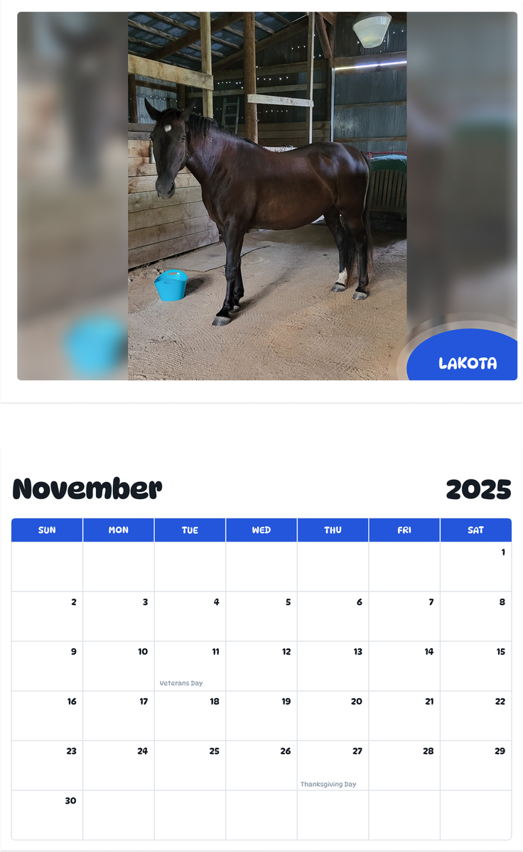 July 2025 - June 2026 Lakota - Pawidols Pet Calendar