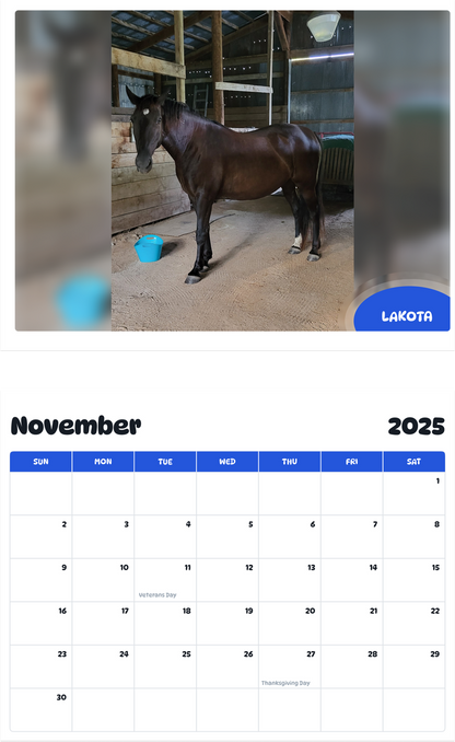 July 2025 - June 2026 Lakota - Pawidols Pet Calendar