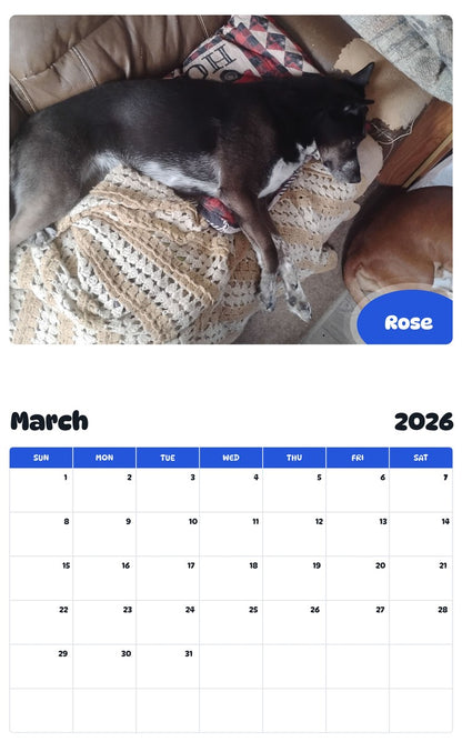 November 2025 - October 2026 Rose - Pawidols Pet Calendar