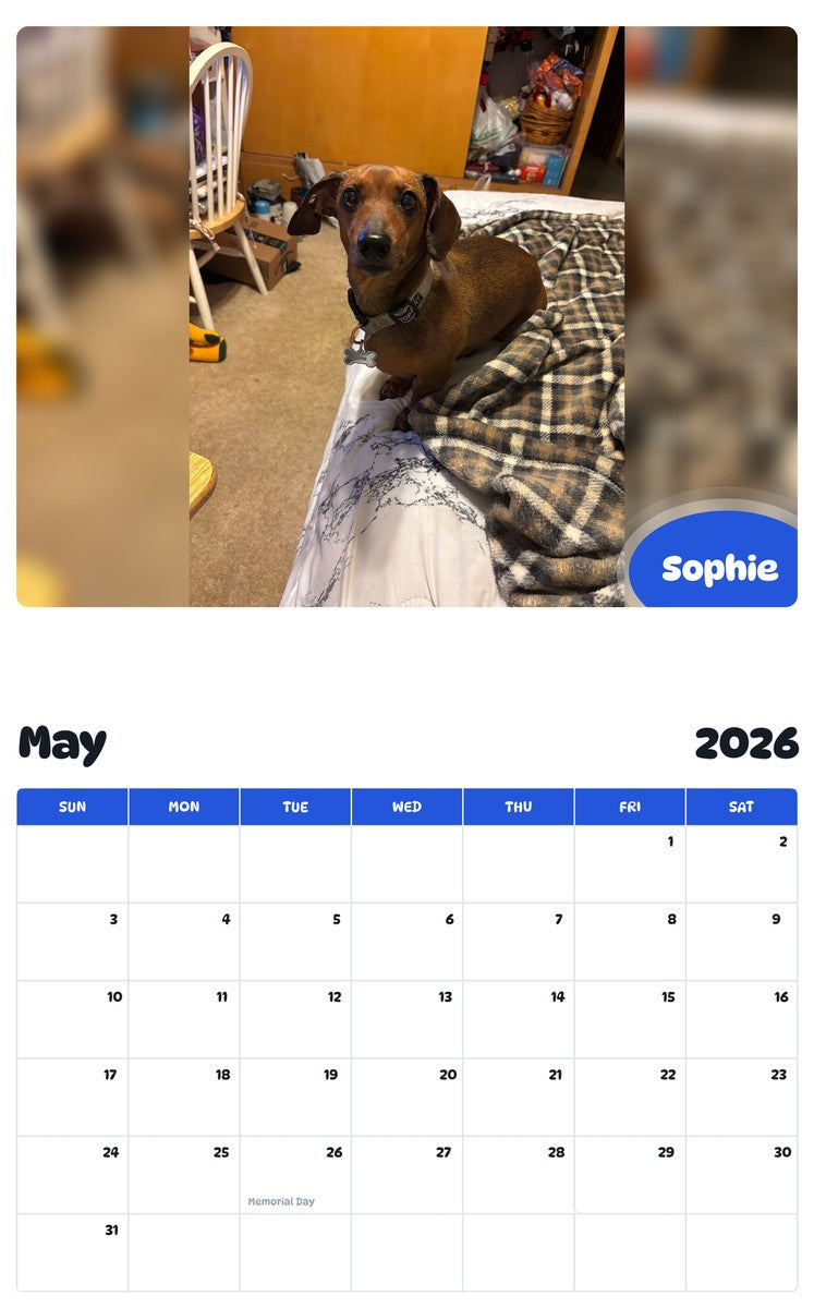 2026 - 2027 Sophie - Pawidols Pet Calendar