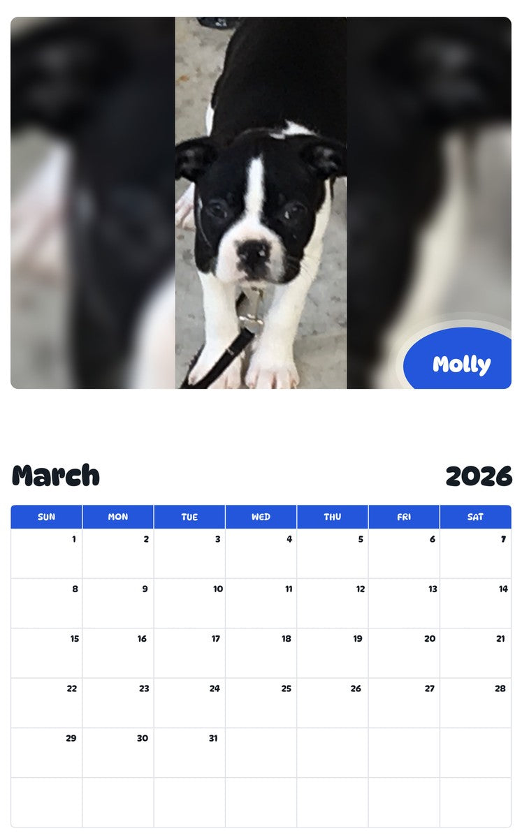 November 2025 - October 2026 Molly - Pawidols Pet Calendar