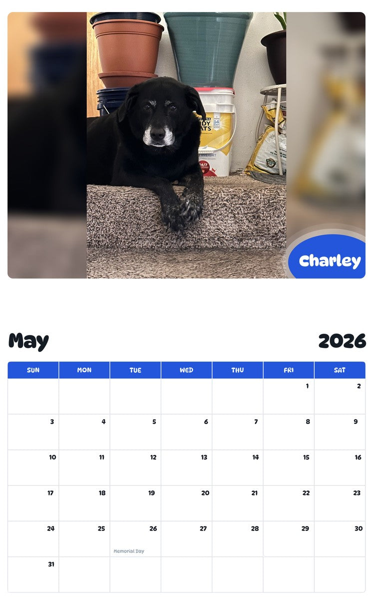 2026 - 2027 Charley - Pawidols Pet Calendar