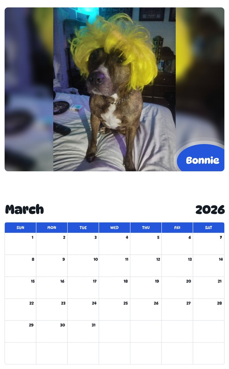 November 2025 - October 2026 Bonnie - Pawidols Pet Calendar