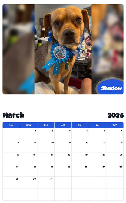November 2025 - October 2026 Shadow - Pawidols Pet Calendar
