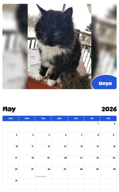2026 - 2027 Onyx - Pawidols Pet Calendar