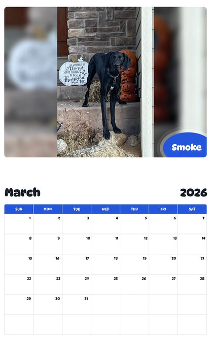 November 2025 - October 2026 Smoke - Pawidols Pet Calendar