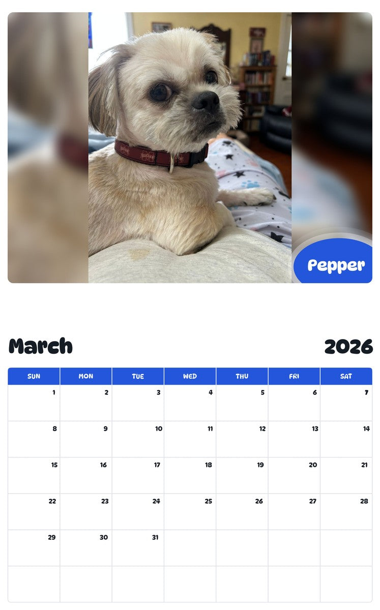 November 2025 - October 2026 Pepper - Pawidols Pet Calendar