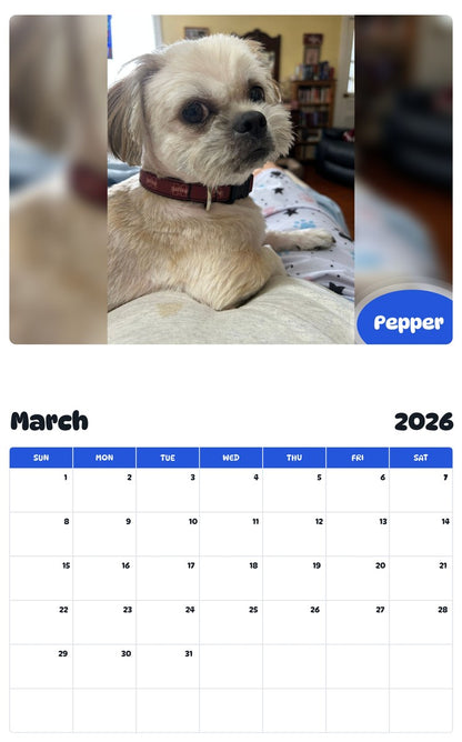 November 2025 - October 2026 Pepper - Pawidols Pet Calendar