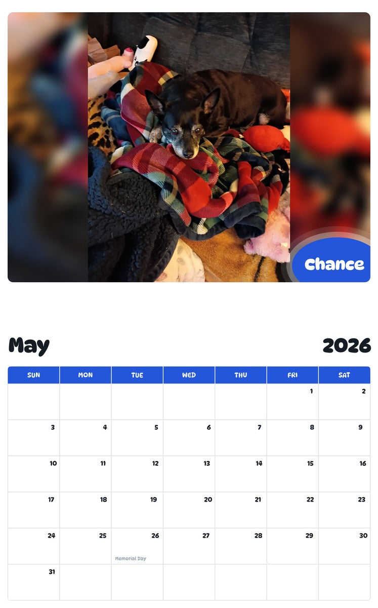 2026 - 2027 Chance - Pawidols Pet Calendar
