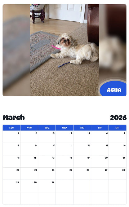 November 2025 - October 2026 ACHA - Pawidols Pet Calendar