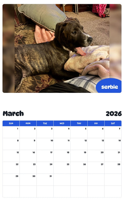November 2025 - October 2026 serbie - Pawidols Pet Calendar