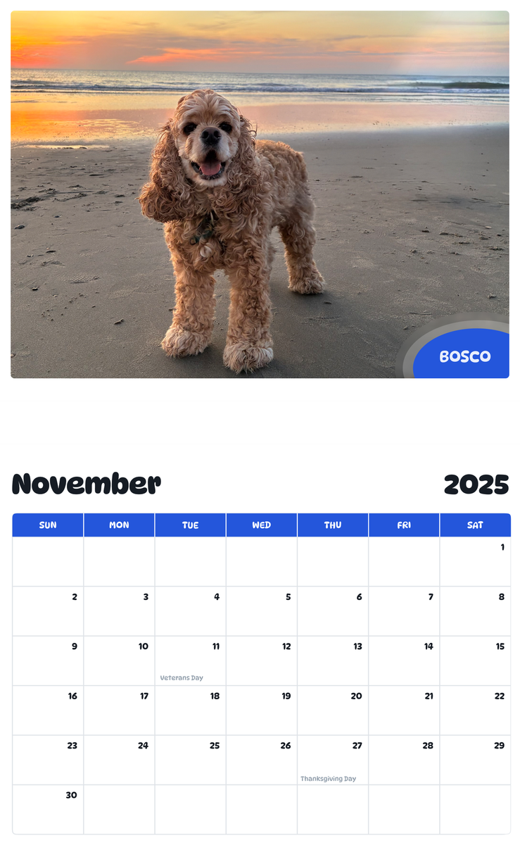 July 2025 - June 2026 Bosco - Pawidols Pet Calendar