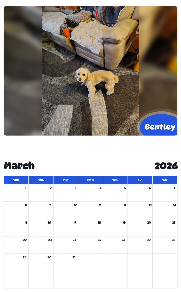 November 2025 - October 2026 Bentley - Pawidols Pet Calendar