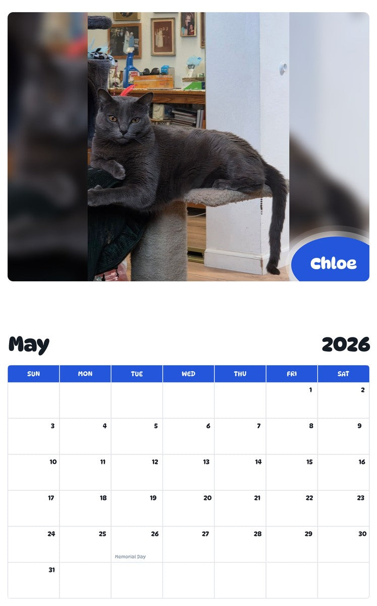 2026 - 2027 Chloe - Pawidols Pet Calendar