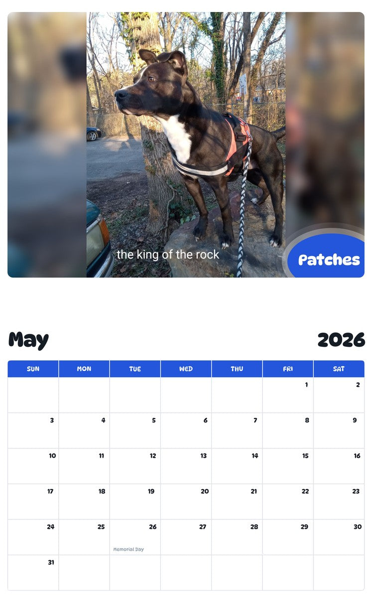 2026 - 2027 Patches - Pawidols Pet Calendar