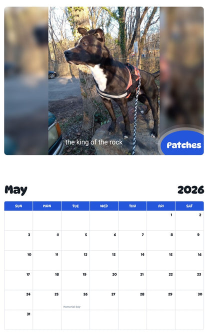 2026 - 2027 Patches - Pawidols Pet Calendar