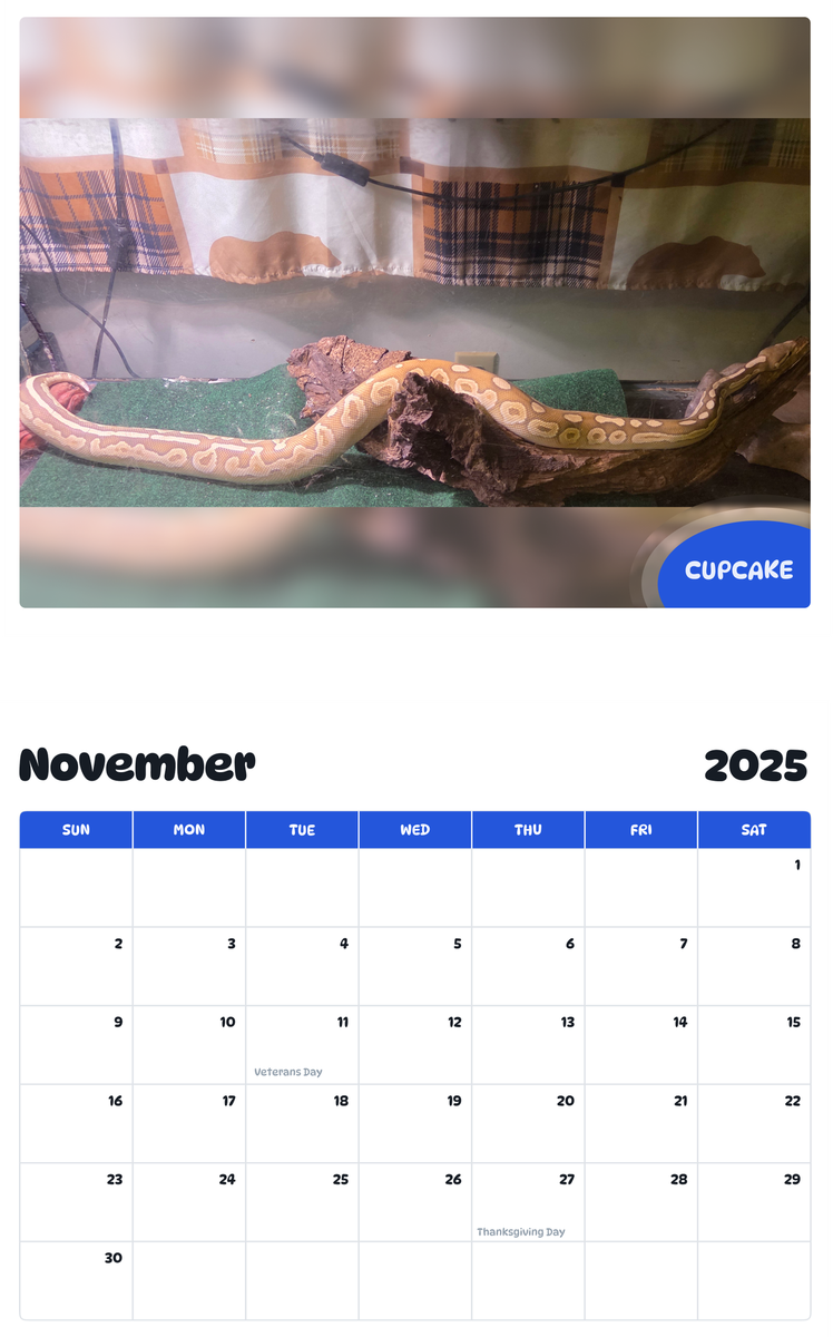 July 2025 - June 2026 Cupcake - Pawidols Pet Calendar