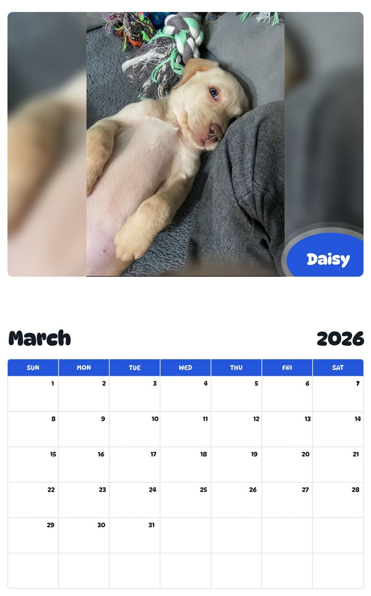 November 2025 - October 2026 Daisy - Pawidols Pet Calendar