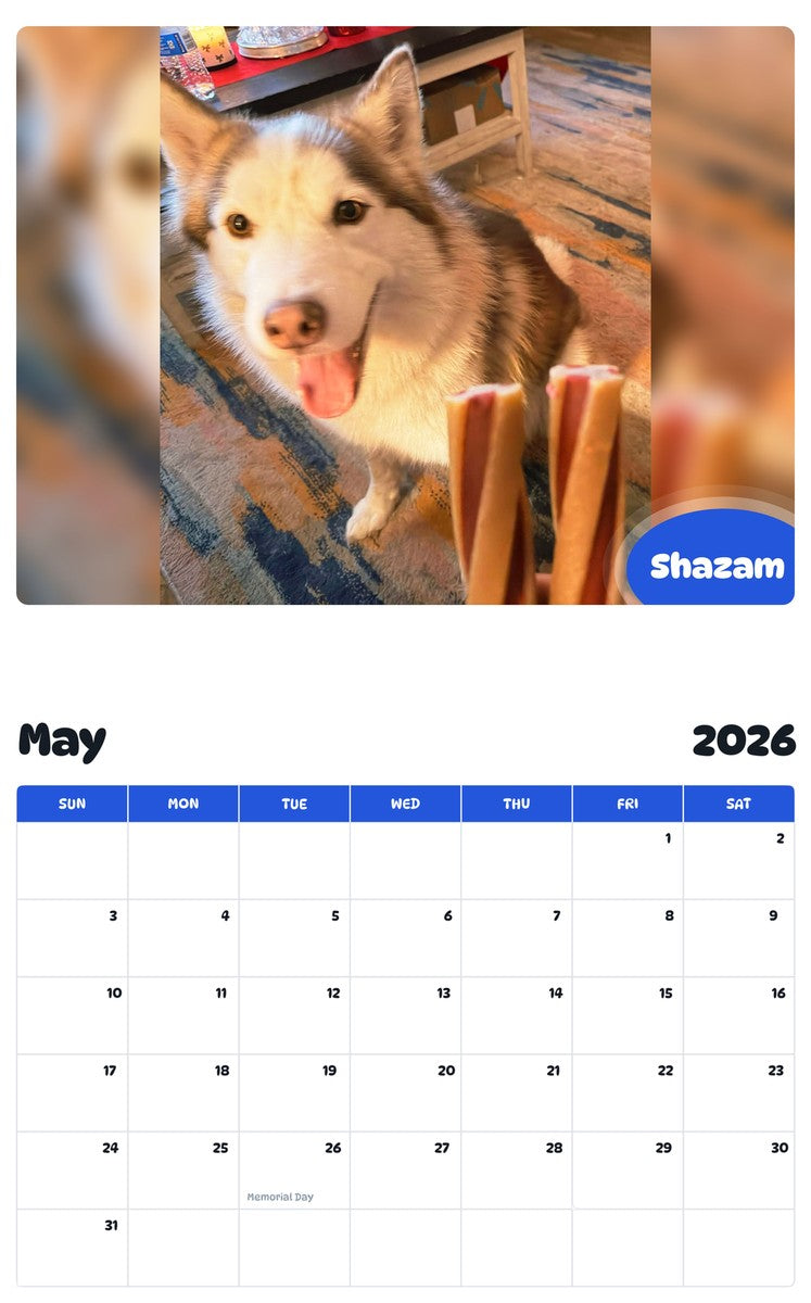 2026 - 2027 Shazam - Pawidols Pet Calendar