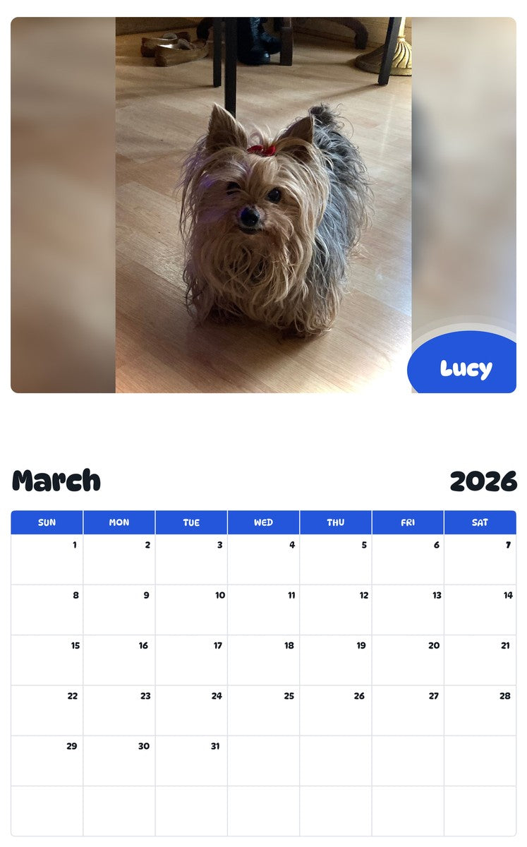 November 2025 - October 2026 Lucy - Pawidols Pet Calendar