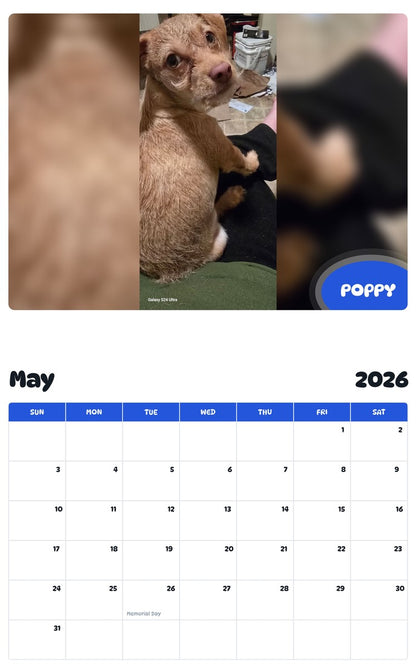 2026 - 2027 POPPY - Pawidols Pet Calendar