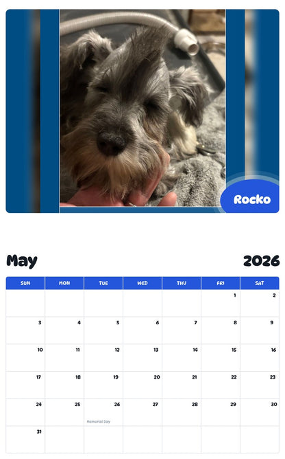 2026 - 2027 Rocko - Pawidols Pet Calendar