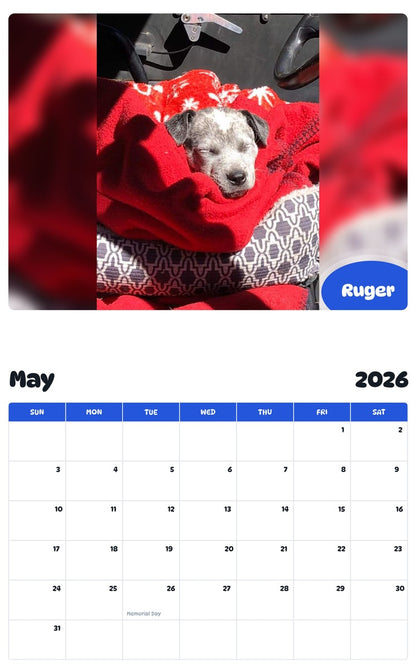 2026 - 2027 Ruger - Pawidols Pet Calendar