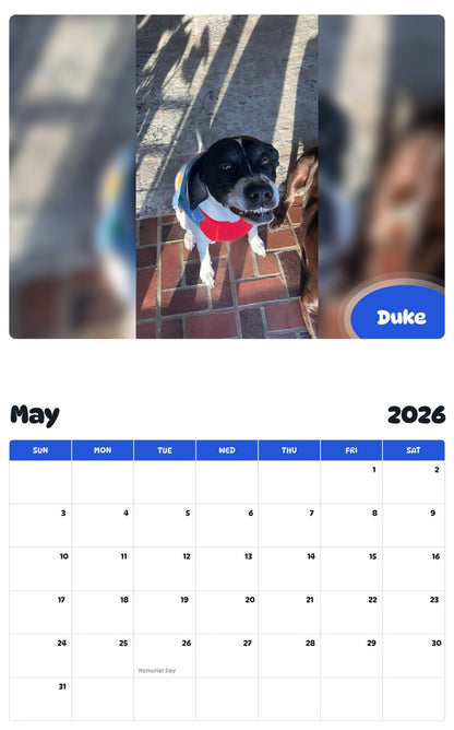 2026 - 2027 Duke - Pawidols Pet Calendar